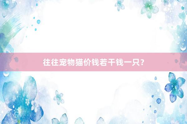 往往宠物猫价钱若干钱一只？