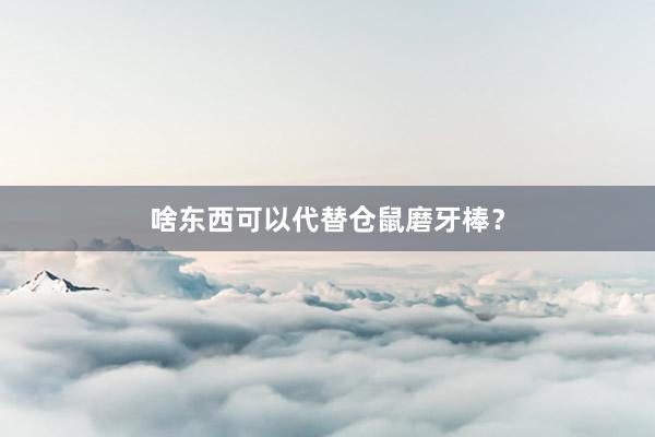 啥东西可以代替仓鼠磨牙棒？